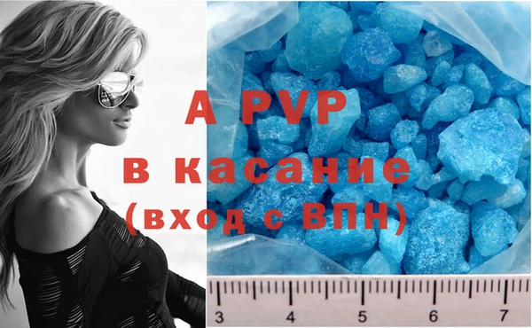 гидропоника Гусиноозёрск