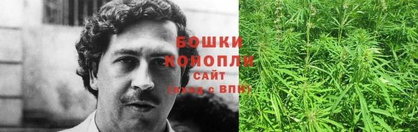 гидропоника Гусиноозёрск