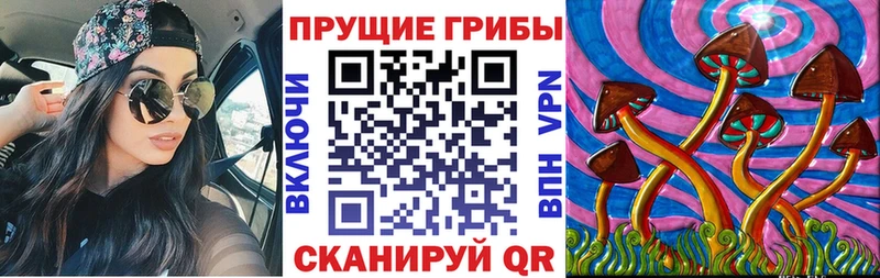 Галлюциногенные грибы прущие грибы  Мещовск 